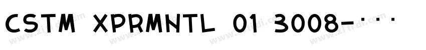 CSTM XPRMNTL 01 3008字体转换
